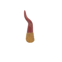 cornicello-base-dorata